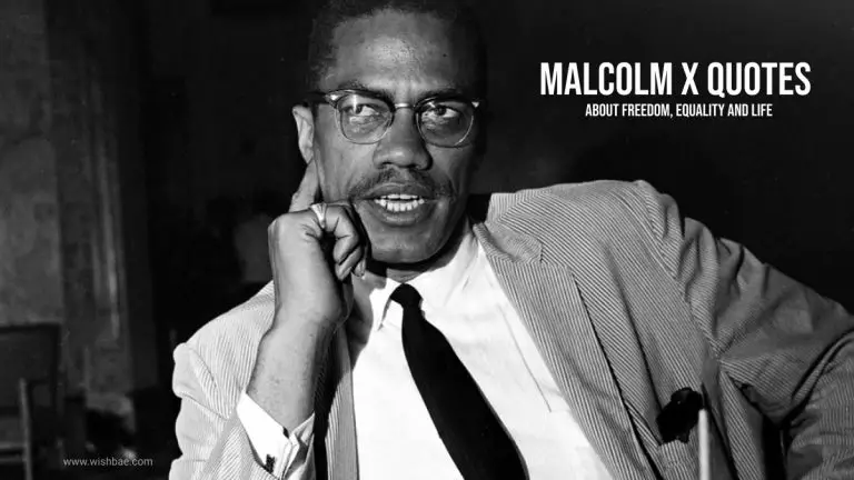 Malcolm X Quotes About Freedom Equality And Life Wishbae