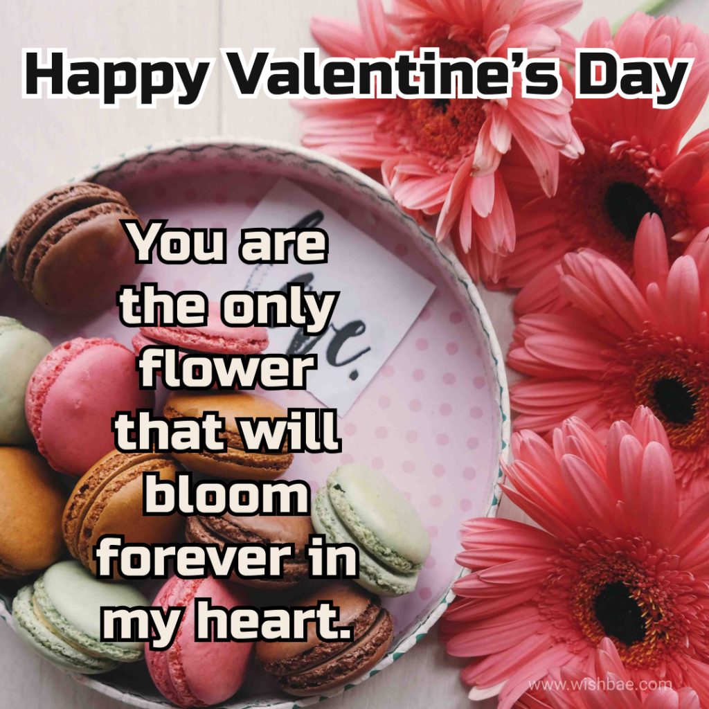 valentines day images