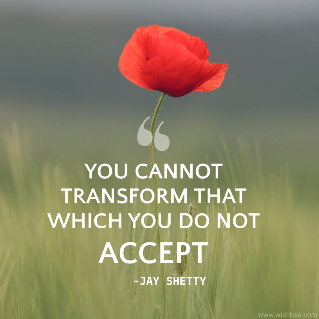 Jay Shetty Quotes on purpose