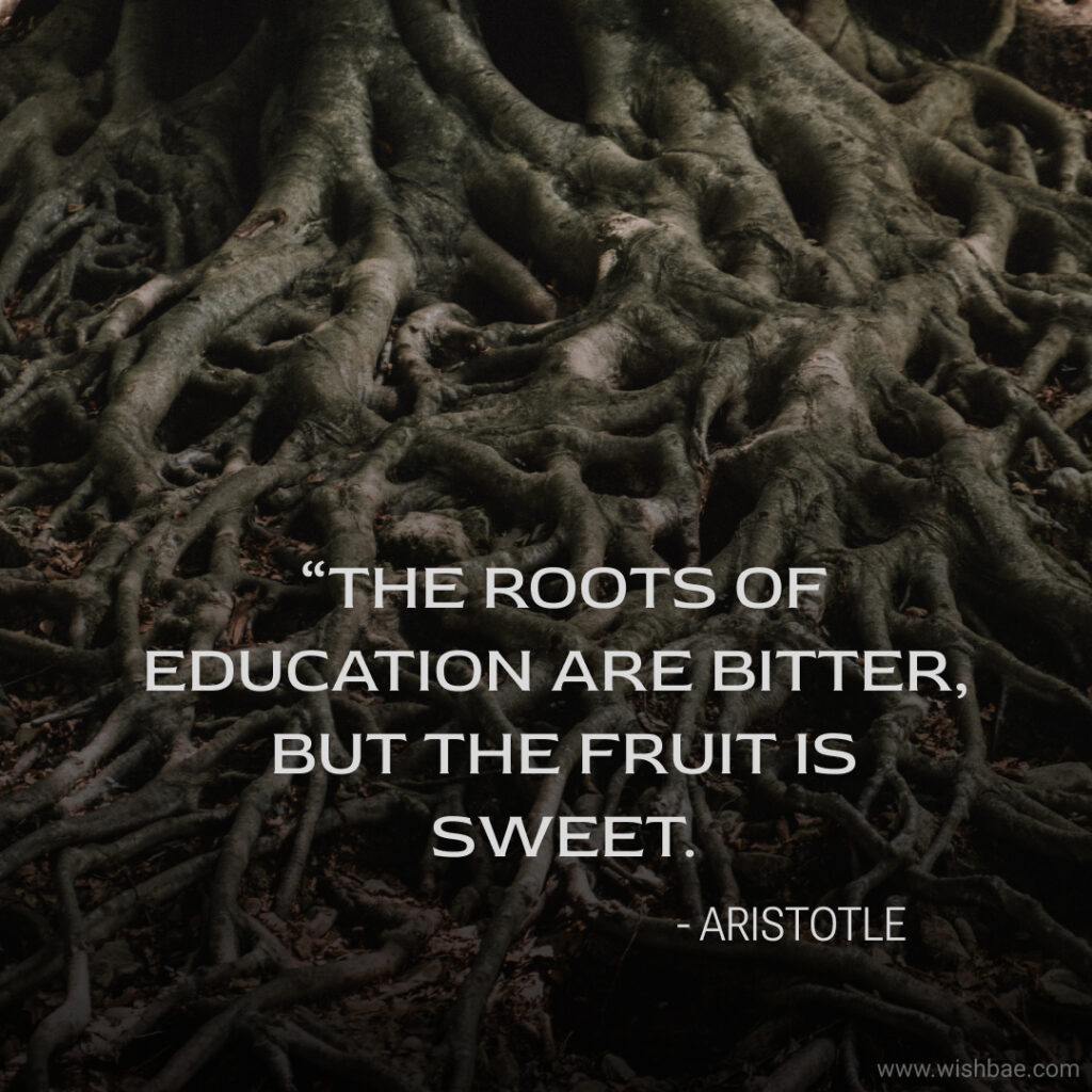 aristotle quotes on education