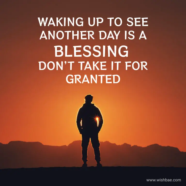 Being Taken For Granted Quotes, Sayings and Captions 2024