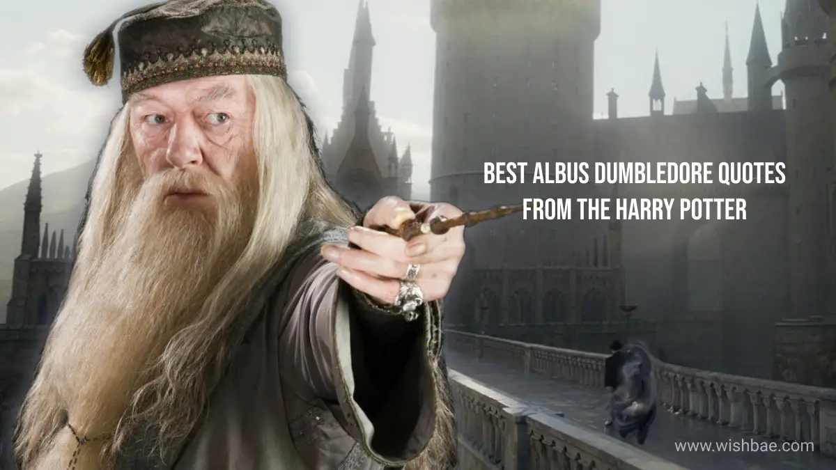 dumbledore quotes