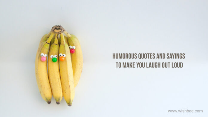 humorous quotes