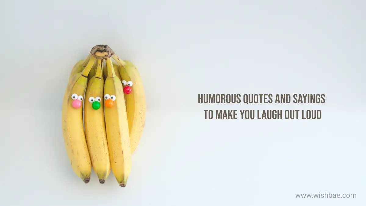 55+ Humorous Quotes and Sayings to Make You Laugh out Loud