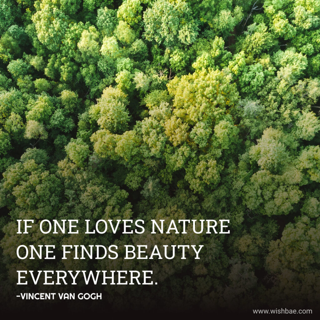 vincent van gogh quotes on nature
