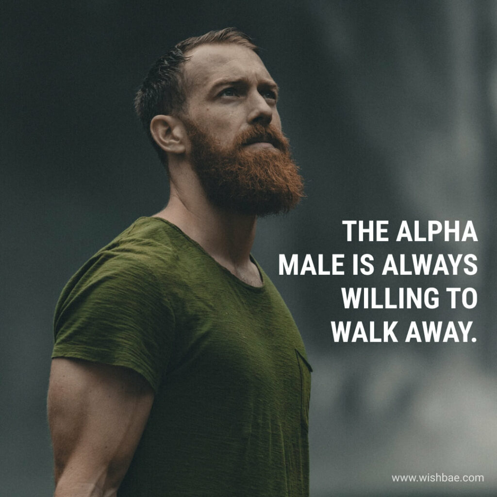 alpha male captions