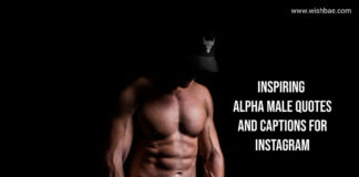 alpha male quotes