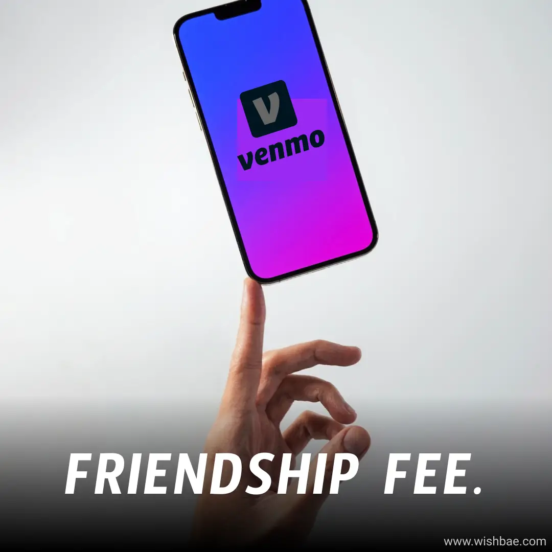 Funny Venmo Captions 2023 for Food, Friends, and Rent