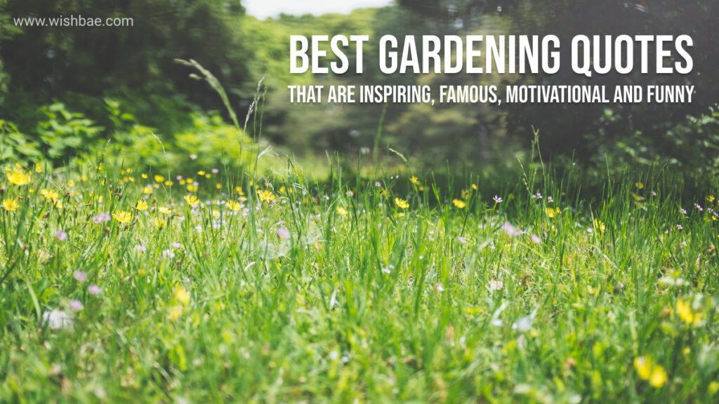 gardening quotes