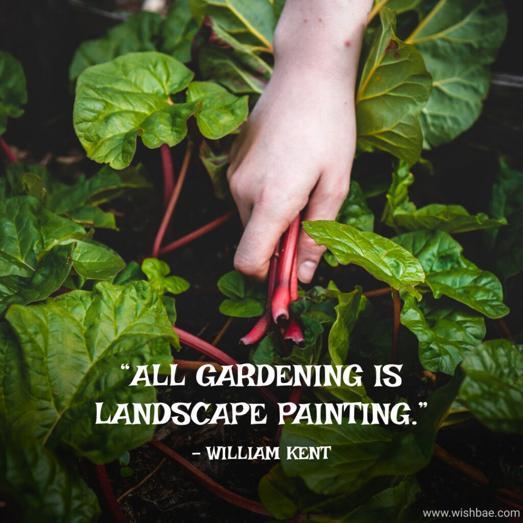 gardening quotes and sayings
