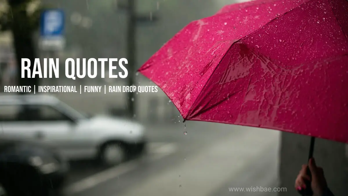 2024} Rain Quotes, Captions & Sayings - Feel Just Don't Get Wet