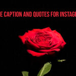 rose caption