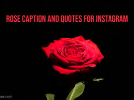 rose caption