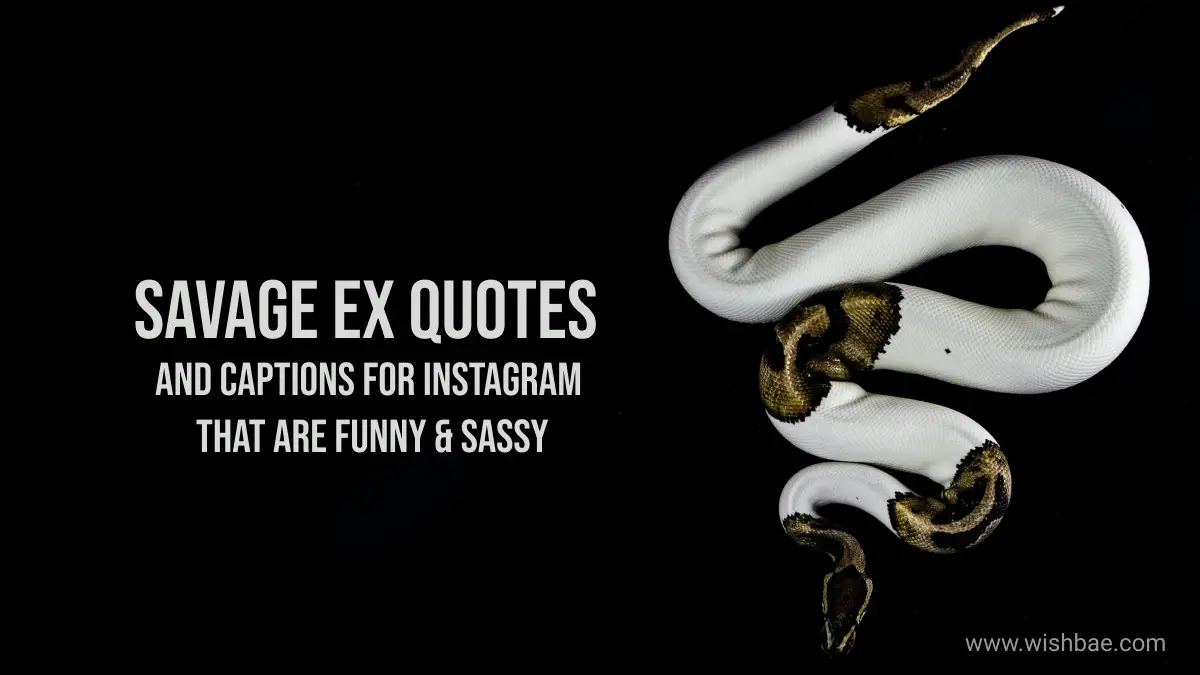 2023] Savage Ex Quotes and Captions for Instagram that are Funny & Sassy