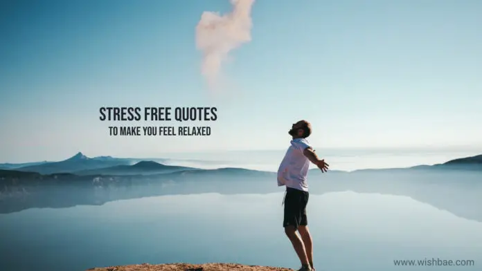 stress free quotes