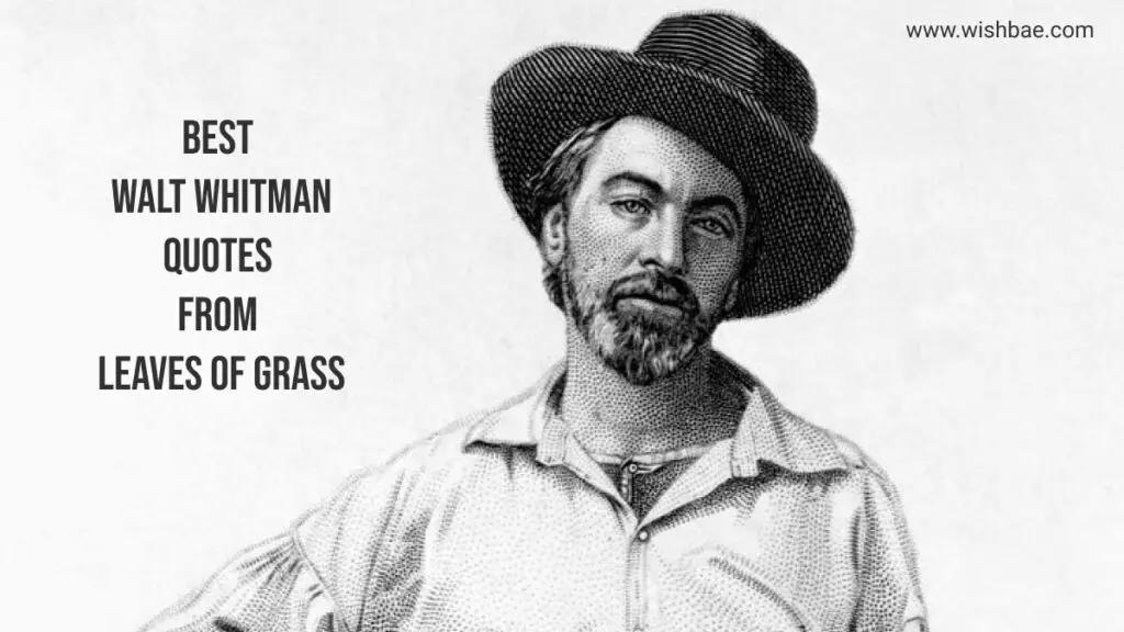 Walt Whitman Quotes From Leaves Of Grass