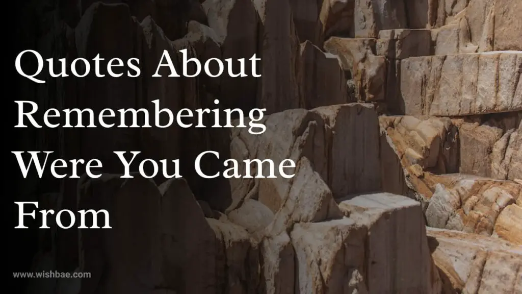 Quotes About Remembering Were You Came From