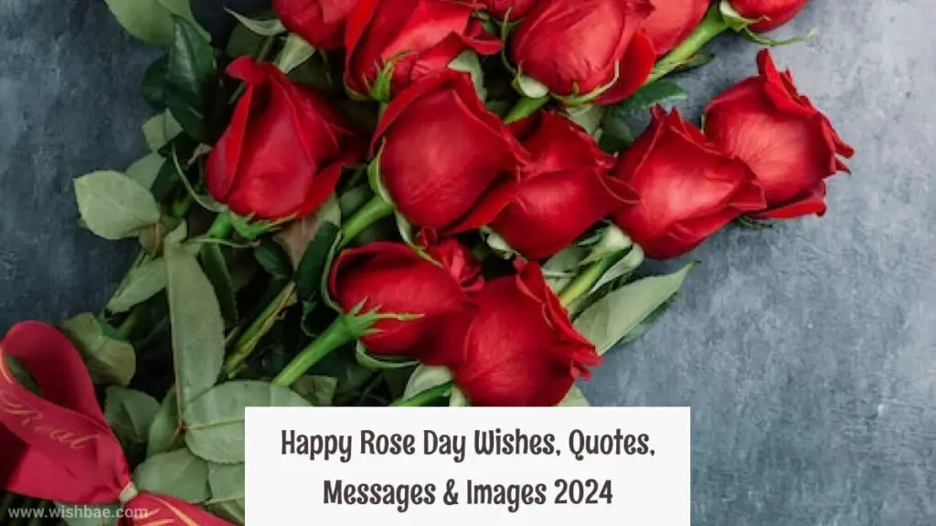 rose day wishes 2024