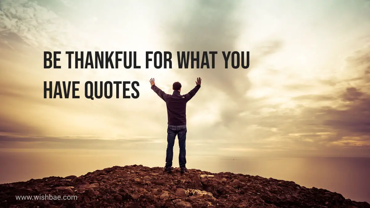 Be Thankful For What You Have Quotes