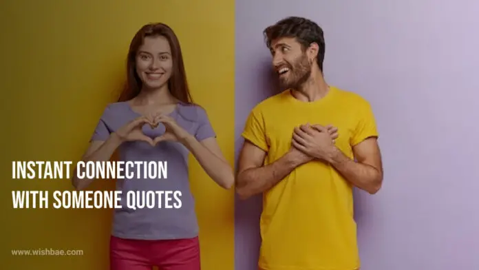 Instant Connection With Someone Quotes