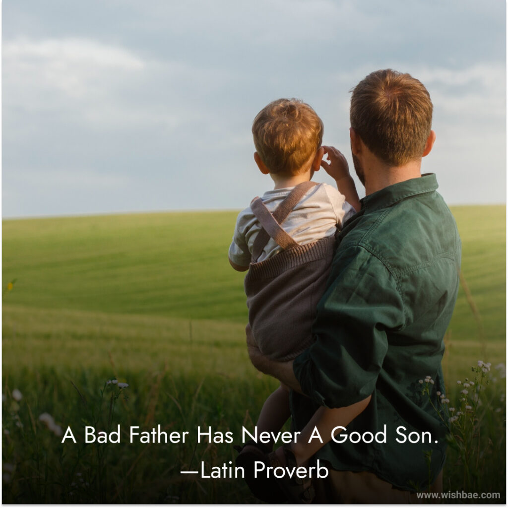 Best sarcastic quotes about bad fathers from son