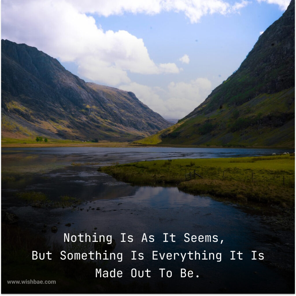 Nothing Is What It Seems Quotes