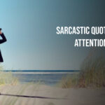 SARCASTIC QUOTES ABOUT ATTENTION SEEKERS