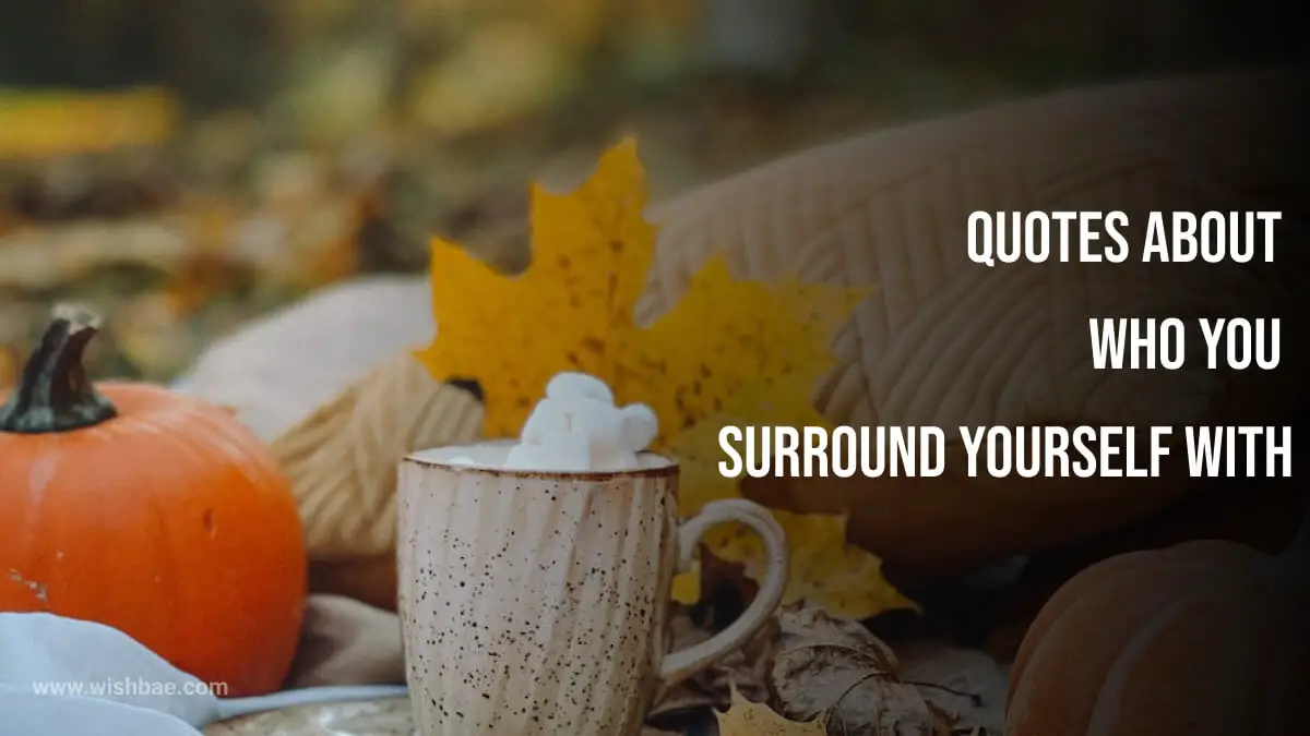 quotes about who you surround yourself with