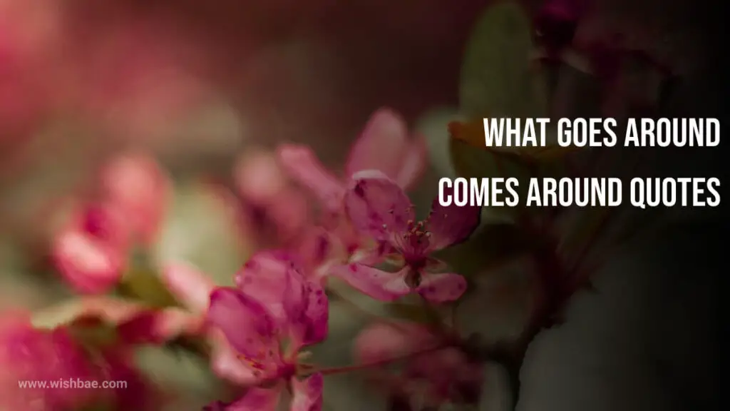what goes around comes around quotes