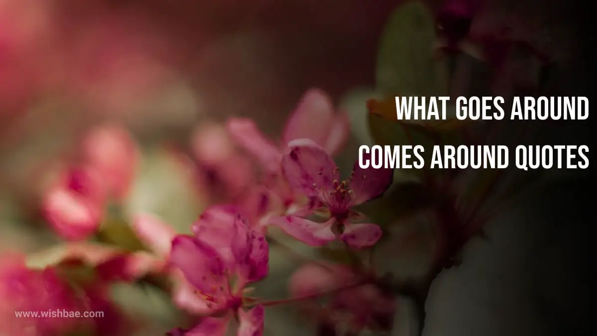 what goes around comes around quotes