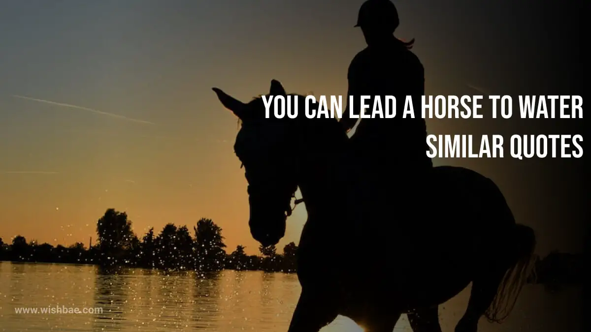 you can lead a horse to water similar quotes